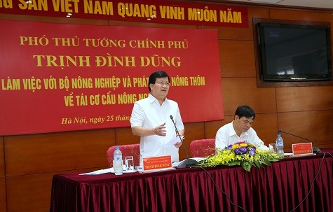 Tái cơ cấu nông nghiệp phải đi đôi với mô hình tăng trưởng hợp lý - ảnh 1