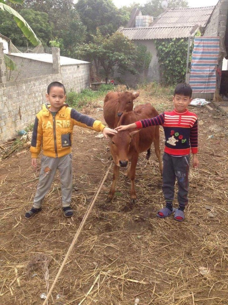 Ông Tây tặng bò cho trẻ em Yên Lập - ảnh 3