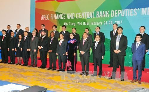 Khai mạc Hội nghị Thứ trưởng Tài chính và Phó Thống đốc Ngân hàng Trung ương APEC 2017 - ảnh 1