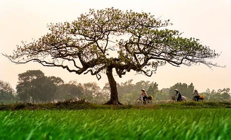 “Góc nhỏ Hà Nội” của nghệ sĩ nhiếp ảnh Nguyễn Xuân Chính - ảnh 3