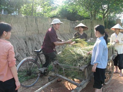 Nhà văn với đề tài nông thôn hôm nay - ảnh 1