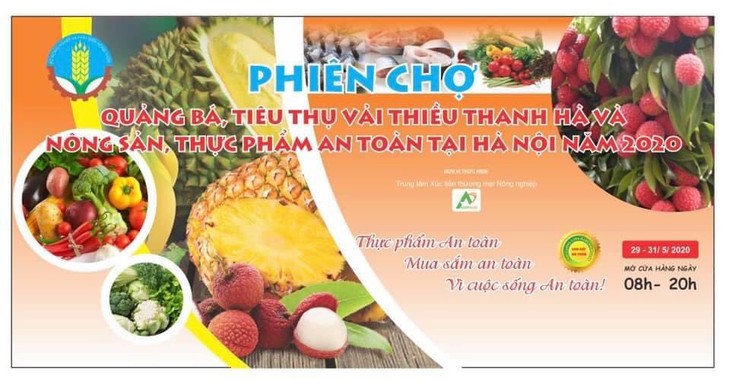 Khai trương phiên chợ quảng bá tiêu thụ vải thiều Thanh Hà và nông sản an toàn - ảnh 1