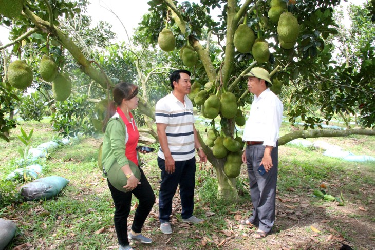 Nhờ chuyển đổi cơ cấu cây trồng, bà con dân tộc thiểu số thoát nghèo  - ảnh 1