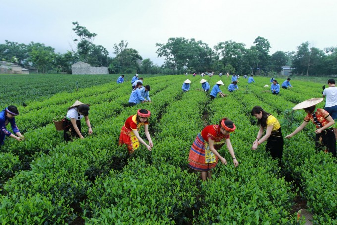 Thúc đẩy hợp tác thương mại nông sản, thủy sản Việt Nam - Liên bang Nga - ảnh 1