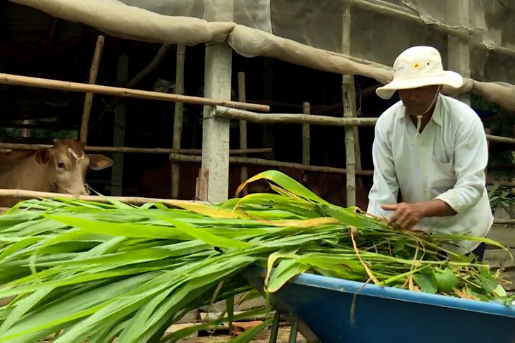 Nông thôn mới giúp vùng đồng bào Khmer ở Trà Vinh tiếp tục khởi sắc - ảnh 2