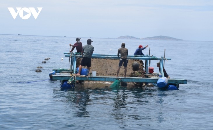 Thông tin biển đảo ngày 25/2 - ảnh 2