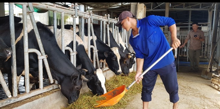 Xã Đại Tâm, tỉnh Sóc Trăng hướng tới đạt chuẩn nông thôn mới kiểu mẫu - ảnh 1