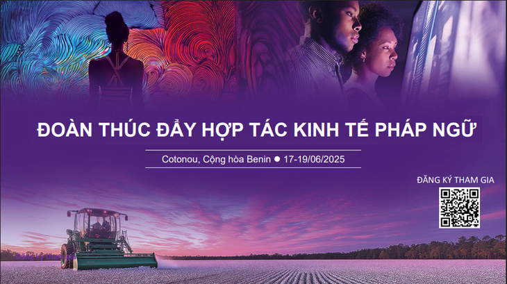 Đăng ký tham gia Đoàn thúc đẩy hợp tác kinh tế Pháp ngữ tại Cô-tô-nu, Bê-nanh - ảnh 2