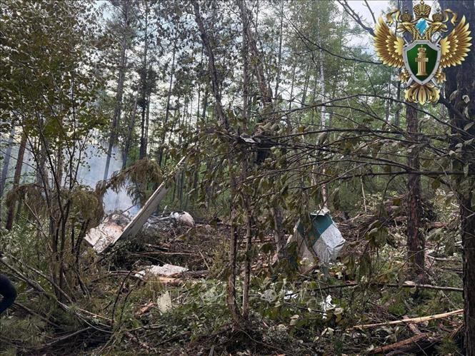 Chủ tịch nước Lương Cường điện thăm hỏi vụ máy bay Nga gặp tai nạn - ảnh 1