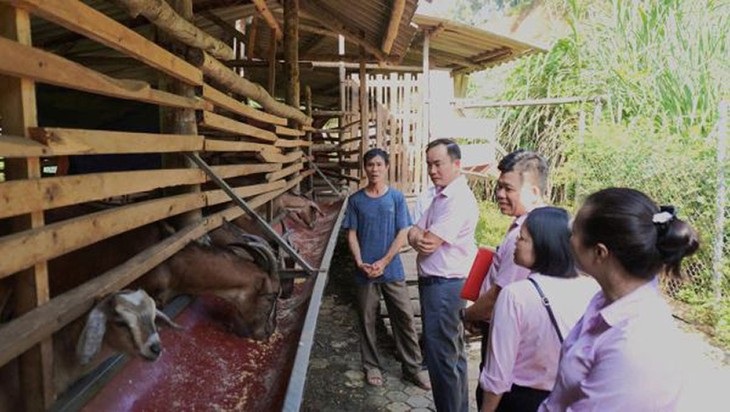 Vốn chính sách – chìa khóa mở lối thoát nghèo ở Thái Nguyên - ảnh 1