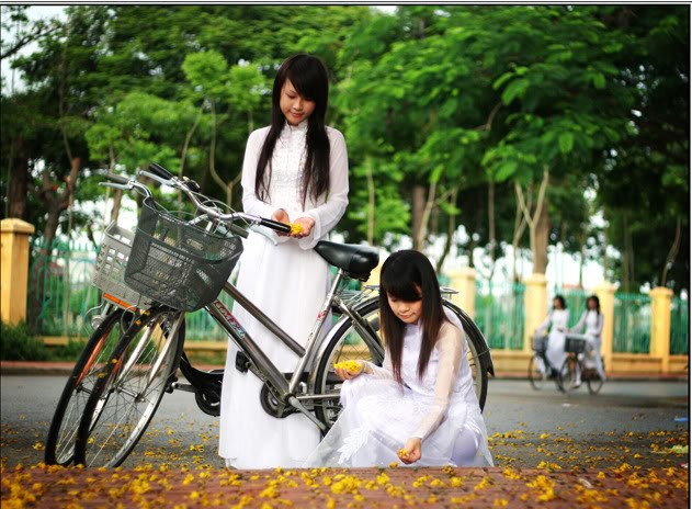 ภาพของหญิงสาวเมืองเว้ในชุดอ๋าวหย่ายสีขาว - สัญลักษณ์แห่งความโรแมนติกของเมืองเว้ - ảnh 6