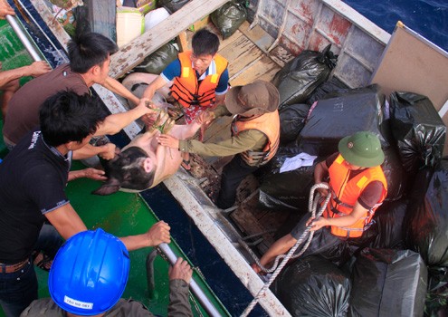 ฝ่าคลื่นลมเพื่อนำของขวัญตรุษเต๊ดสู่หมู่เกาะTrường Sa - ảnh 8