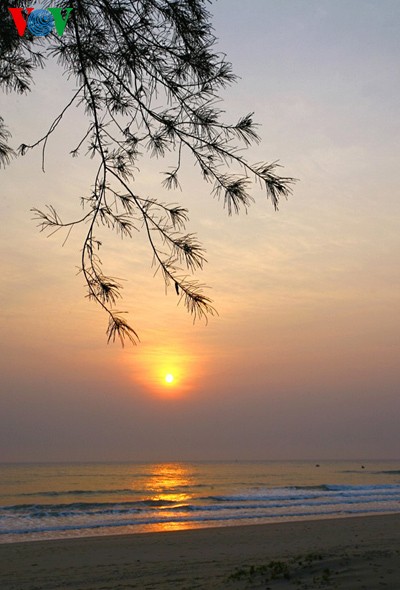 ความงดงามของชายหาด Hoành Sơn ที่จังหวัด Hà Tĩnh - ảnh 1