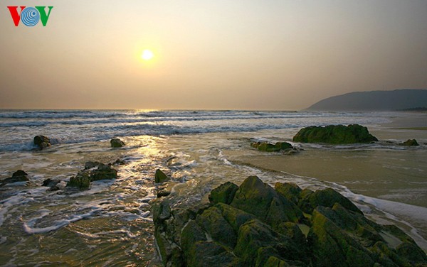 ความงดงามของชายหาด Hoành Sơn ที่จังหวัด Hà Tĩnh - ảnh 3