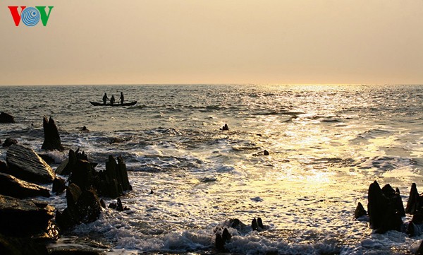 ความงดงามของชายหาด Hoành Sơn ที่จังหวัด Hà Tĩnh - ảnh 7