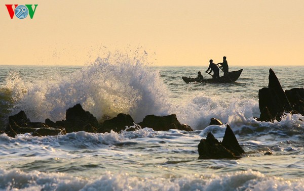 ความงดงามของชายหาด Hoành Sơn ที่จังหวัด Hà Tĩnh - ảnh 8