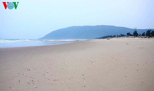 ความงดงามของชายหาด Hoành Sơn ที่จังหวัด Hà Tĩnh - ảnh 10