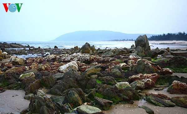 ความงดงามของชายหาด Hoành Sơn ที่จังหวัด Hà Tĩnh - ảnh 12