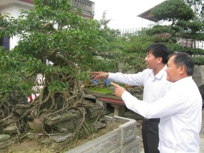 ตำบลแค้งเถี่ยน – ตำบลแรกที่บรรลุเป้าหมายการสร้างสรรค์ชนบทใหม่ในจังหวัดนิงห์บิ่งห์ - ảnh 1