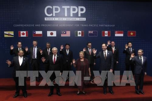 ประเทศสมาชิกยากที่จะพิจารณาการเจรจาข้อตกลง CPTPP อีกครั้ง - ảnh 1