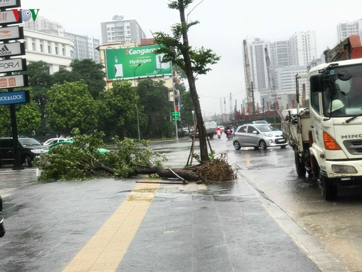 ท้องถิ่นต่างๆแก้ไขผลเสียหายจากพายุโซนร้อนวิภา - ảnh 1