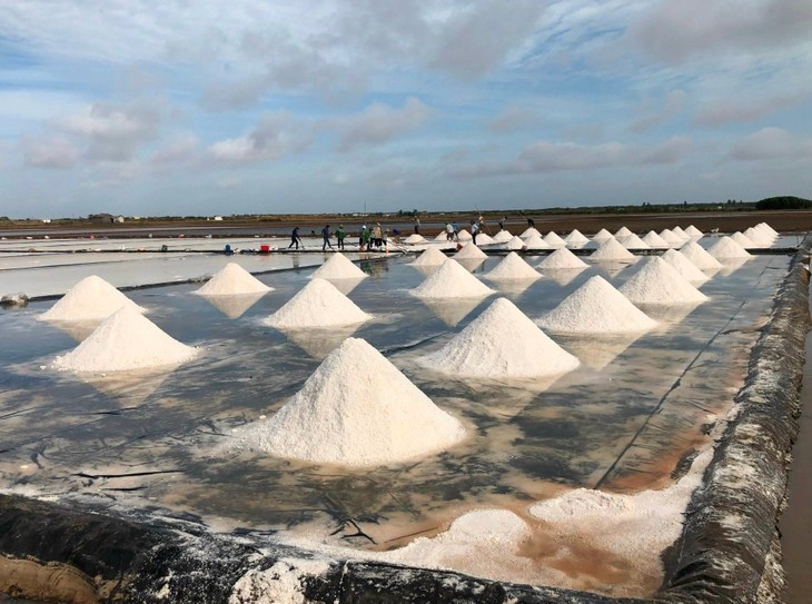 งานเฟสติวัลอาชีพทำนาเกลือเวียดนาม-บากเลียวปี 2025 - ảnh 1