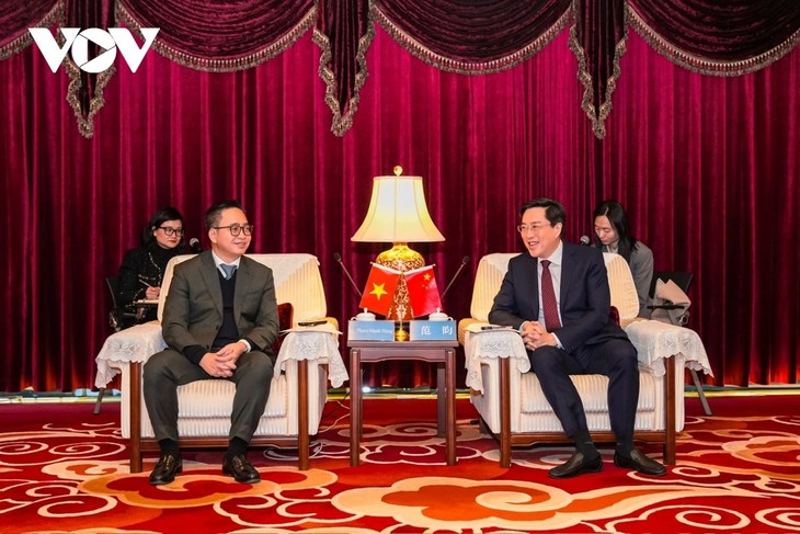 วีโอวีและสถานีวิทยุโทรทัศน์กลางแห่งประเทศจีนหารือเชิงยุทธศาสตร์ในสภาวการณ์ใหม่ - ảnh 1