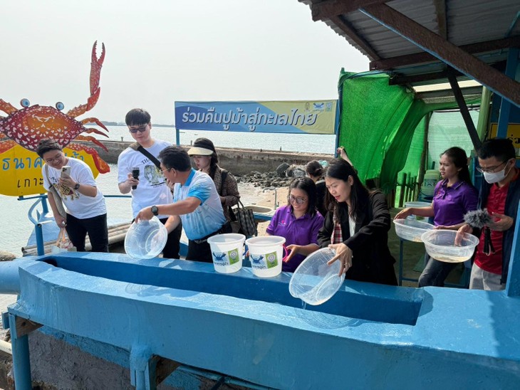 เกาะสีชัง ขยายพันธุ์ปูม้า พัฒนาการประกอบอาชีพประมง - ảnh 9