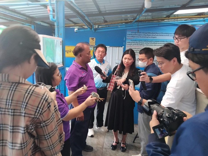 เกาะสีชัง ขยายพันธุ์ปูม้า พัฒนาการประกอบอาชีพประมง - ảnh 7