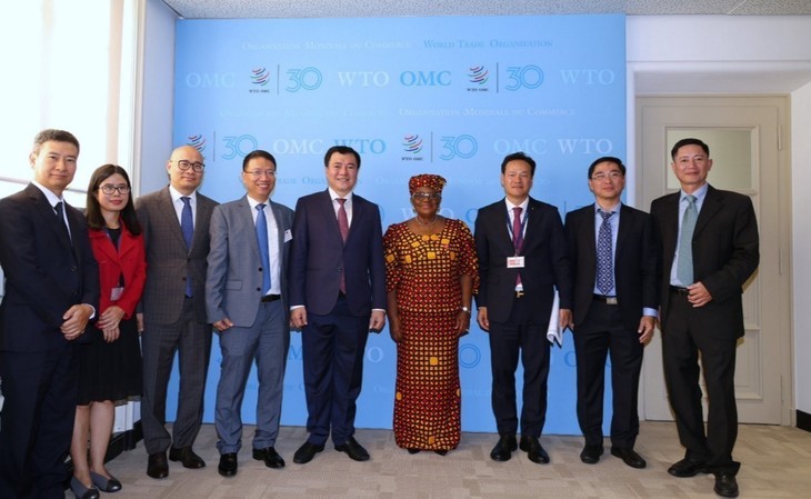 เวียดนามสนับสนุนกระบวนการปฏิรูปโครงสร้าง WTO - ảnh 1